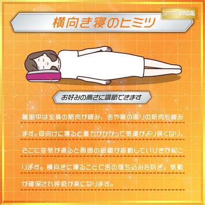 フランスベッド 横向き寝枕 スリープバンテージ トラベル 携帯用専用袋付き