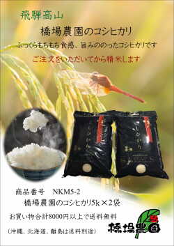 こしひかり 10k 送料無料 飛騨高山