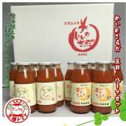 めいのさらだ麗月　ハーフセット