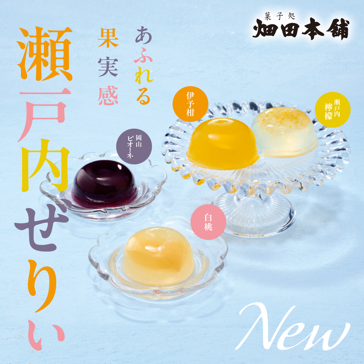 瀬戸内ぜりぃ【夏ギフト2026】