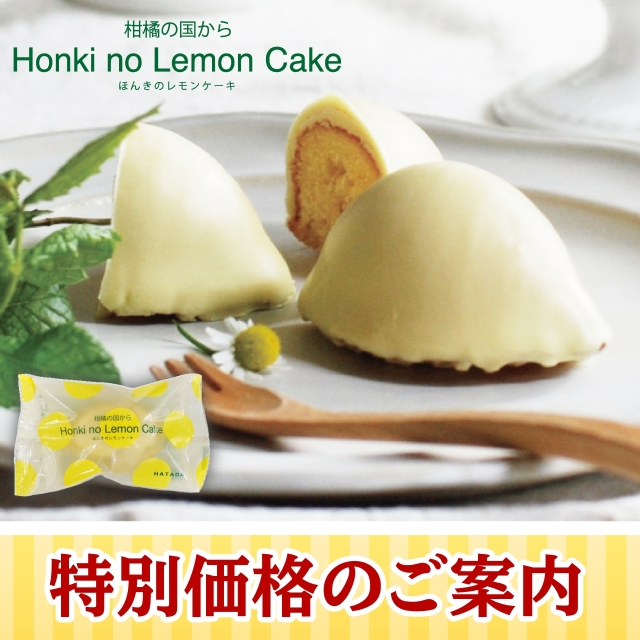 ★特別価格20％OFF★ほんきのレモンケーキ9個