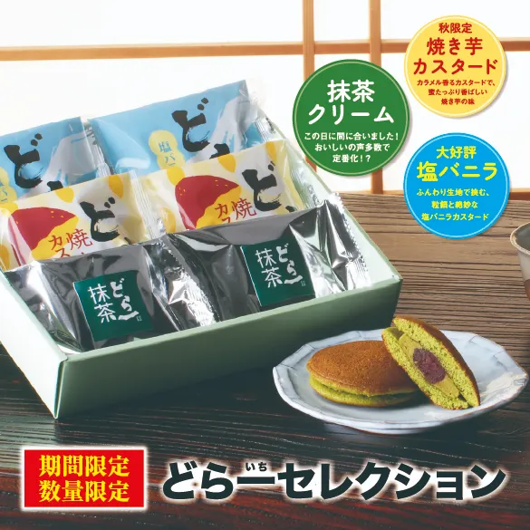 【なくなり次第終了】【お届け日は9月25日まで】どら一セレクション