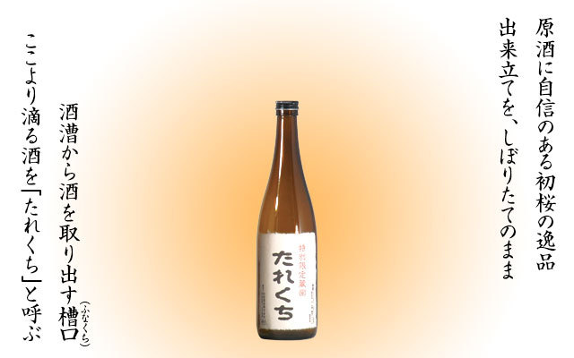 搾りたて生原酒「たれくち」720ml四合瓶