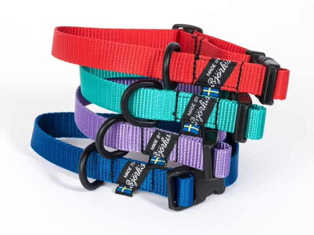 ビヨルキス プラスチックバックルカラー BJORKIS（屋内用/小型犬/子犬用アクセサリー首輪）｜犬グッズ通販HAU