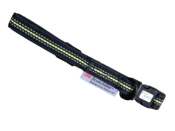 お散歩におすすめのベストセラー首輪｜アクサエコ 4シーズンドッグカラー AXAECO（犬用首輪）犬グッズ通販HAU