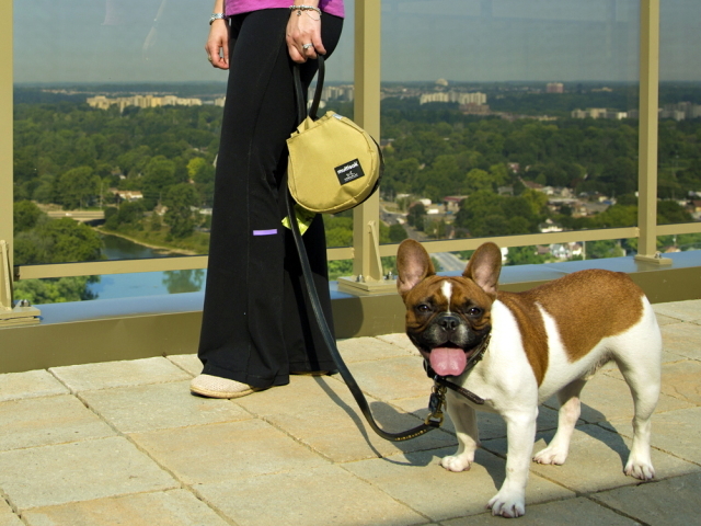 犬用リードに取りつけるお散歩バッグ マナーポーチ マルチサック Multisak 犬グッズ通販hau