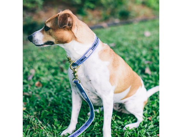 犬用リード See Scout Sleep ヘンプリーシュ 幅1 中型犬 大型犬におすすめ 犬グッズ通販hau