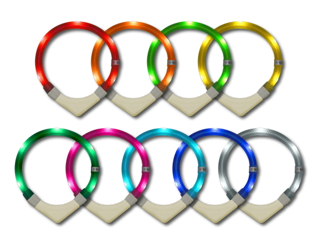 犬用ライト 夜のお散歩用交通安全グッズ 光る首輪 Ledドッグカラー Leuchtie Plus 犬用セーフティーライト 犬グッズ通販hau