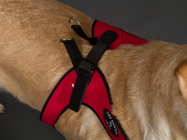 中型犬・大型犬用ハーネス Sporza Tre Ponti トレ・ポンティ｜着け