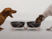 【新品未使用】Henri Bendel 骨型犬用食器セット WOOF XL 大型犬用シングルドッグボウル Bendo （デザイナーズ犬用食器