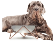 WOOF XL 大型犬用シングルドッグボウル Bendo （デザイナーズ犬用食器）