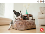 犬用ベッド｜p.l.a.y ラグジュアリーペット用ベッド｜犬グッズ通販HAU