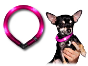 犬の交通安全ライト、光る首輪｜LEDドッグカラー LEUCHTIE mini（小型犬用セーフティーライト）｜犬グッズ通販HAU