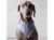 バンダナ Doca Pet（ドカペット）｜大型犬用バンダナ、ドッグスカーフ、おしゃれ用アクセサリー｜犬グッズ・犬用品通販HAU