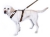 マンマット スマートハーネス MANMAT（ソフトパッド犬用胴輪）｜やわらかく丈夫な人気モデル｜犬グッズ通販HAU