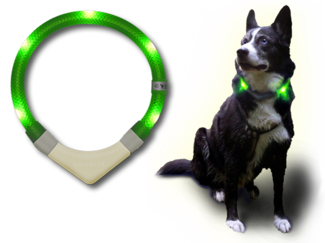 犬の交通安全ライト、光る首輪｜LEDドッグカラー LEUCHTIE Plus （犬用セーフティーライト）｜犬グッズ通販HAU