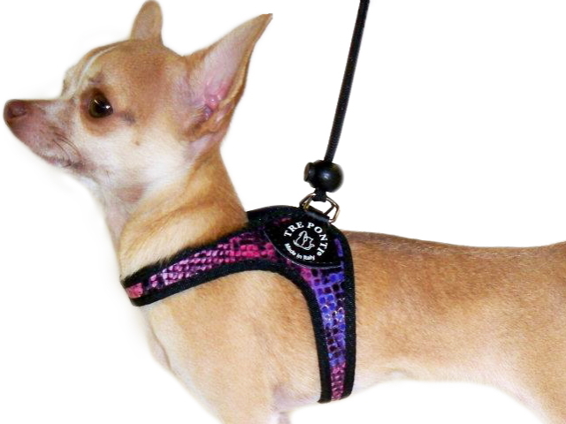 イタリア製小型犬用ハーネス(おしゃれ&かわいい)｜パイソンパターン（ヘビ柄）  トレ・ポンティ｜犬グッズ通販HAU