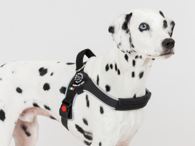 中型犬・大型犬用ハーネス Brio ブリオ Tre Ponti トレ・ポンティ｜着脱簡単で脇が擦れにくいイタリア製ハーネス｜犬グッズ通販HAU