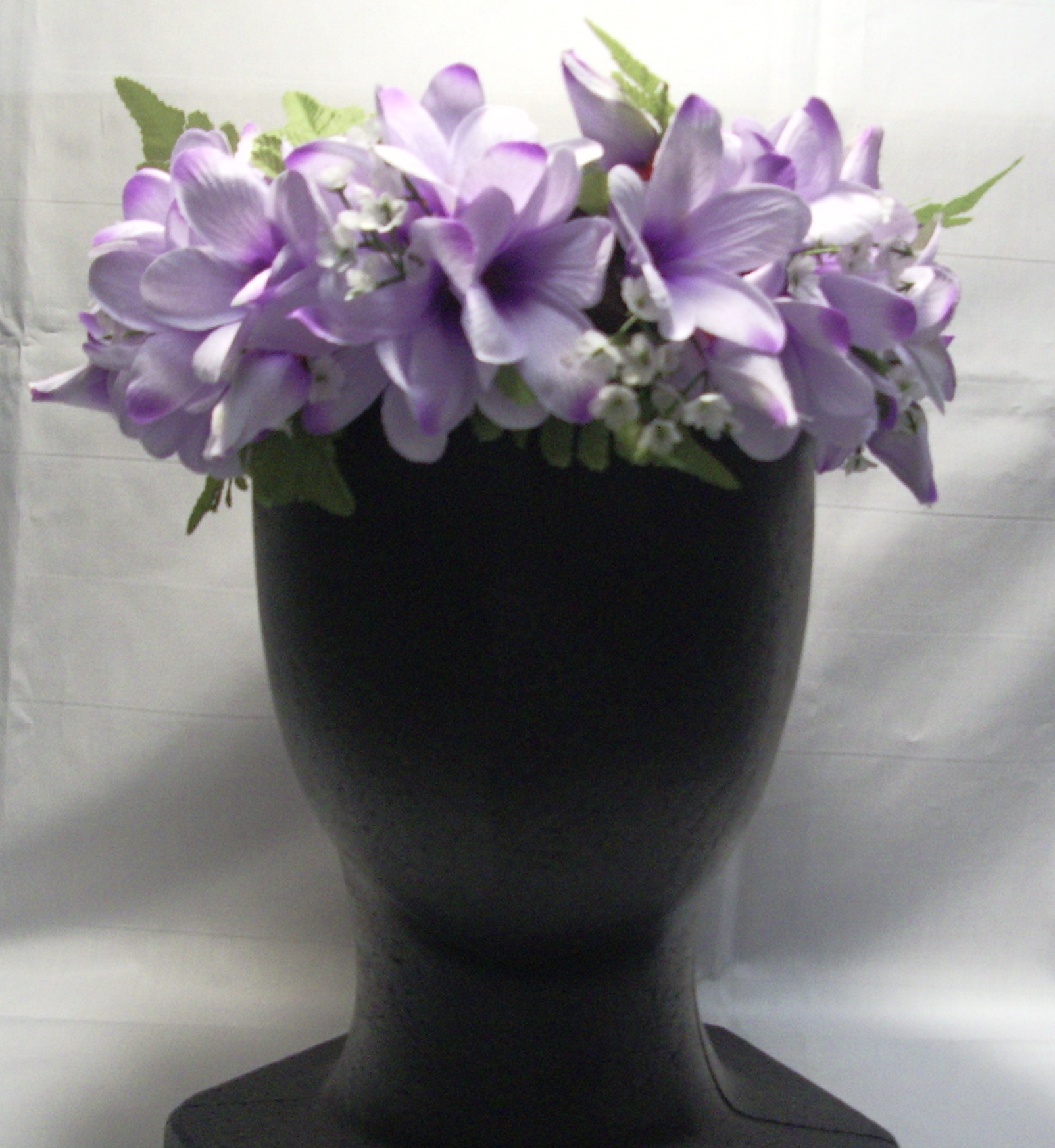 プルメリア　クィーン　ハク