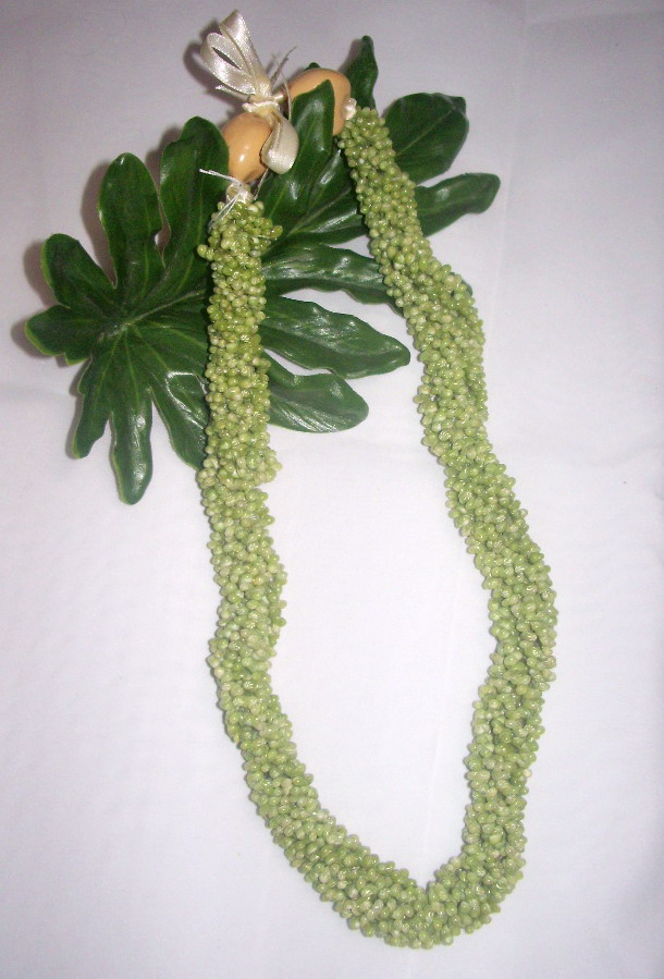 プアマナ　ツイステット　シェルチョーカー