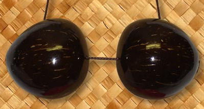 Coconuts Bra　Aカップ