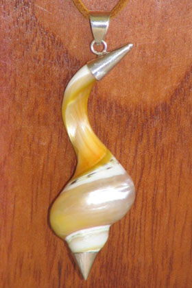 シェルネックレス　トップ