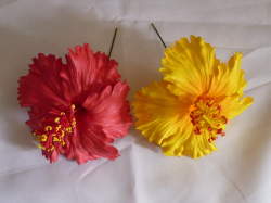 ハイビスカス　ピック