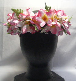 プルメリア　クィーン ハク