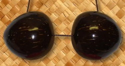 Coconuts　Bra Cカップ