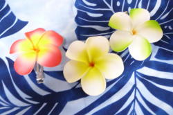 プルメリア　クリップ