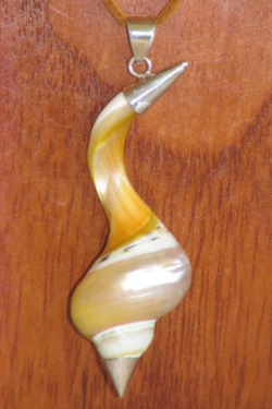 シェルネックレス　トップ