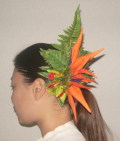 オリジナル　極楽鳥とオーキットの髪飾り（タヒチアン調）