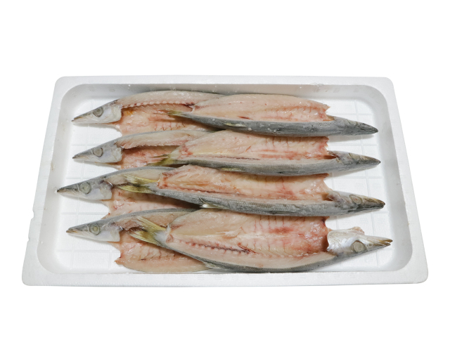 お皿からはみ出るでっかいカマス8枚 特売