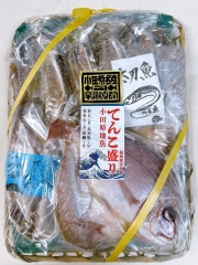 てんこ盛り202604