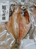 いぼ鯛　小
