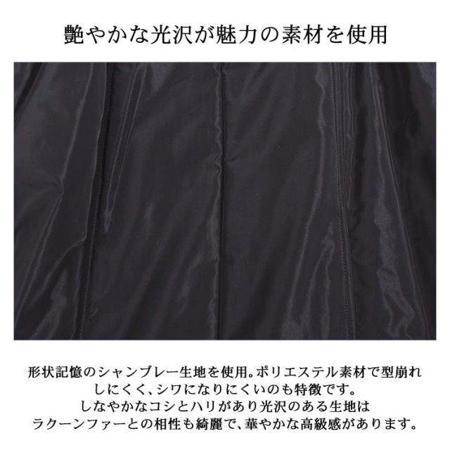 ラクーン