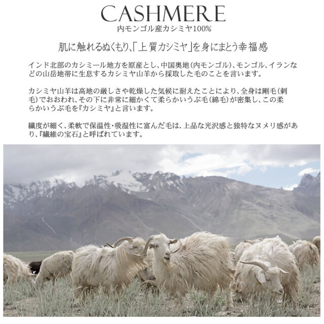 【25%OFF会員価格適用外】【名入れ刺繍可】カシミヤ 100% マフラー レディース カシミヤマフラー カシミアマフラー レディースマフラー 男女兼用 フリンジ(CS0099)