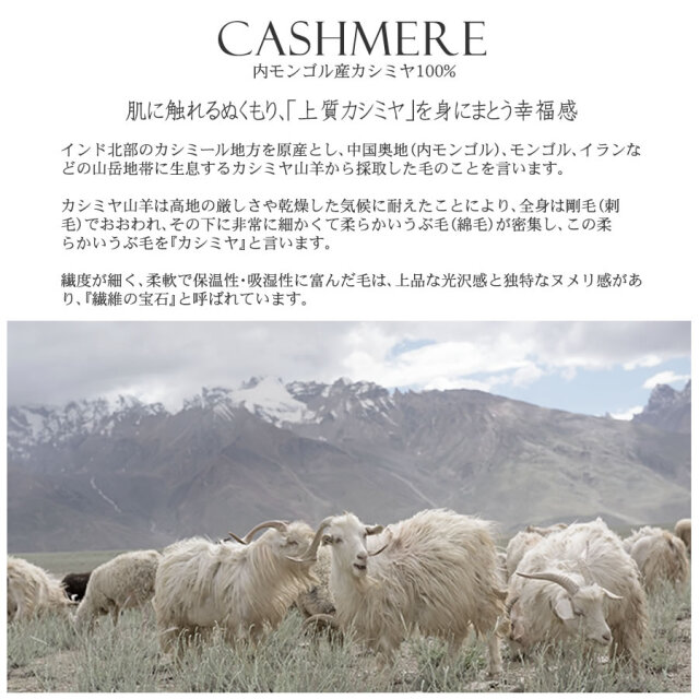 【25%OFF会員価格適用外】【名入れ刺繍可】メンズ カシミヤ 100% 柄 ストール 60cm幅 (CS1066M)