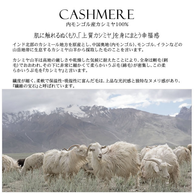 30％OFF】【会員割引適用無し】アルバス カシミヤ100% ストール