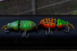 Buddy AND Dog`s『Dog Bait (ドッグベイト)』