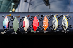 Quality Life『KANI(カニ)』