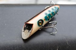 Handsome × HeadHunters『25th Anniversary STRIKER (ストライカー)』北欧パロット