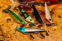 Quality Life『TAILOR(テイラー)』