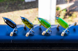 FISHDEVICE『ワッキーフロッグ』