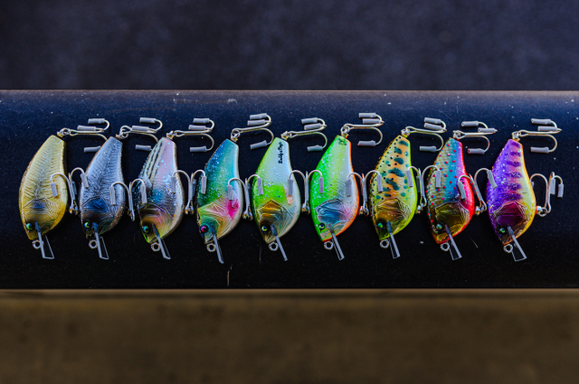 Buddy AND Dog`s『BUDDY K2 HONEY FLASH (バディケーツーハニー