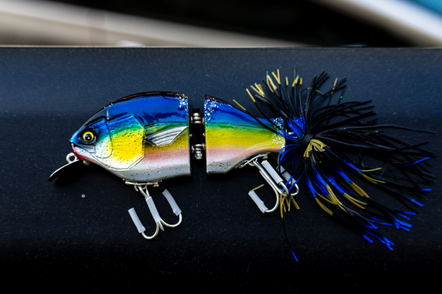 Buddy AND Dog`s『Dog Bait (ドッグベイト)』 Buddy AND Dog`s『Dog Bait (ドッグベイト)』