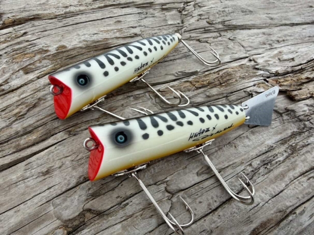 クオリティライフ　Fish Colca/フィッシュ コルカ　シープフィッシュ Quality Life『Fish Colca(フィッシュ コルカ)』