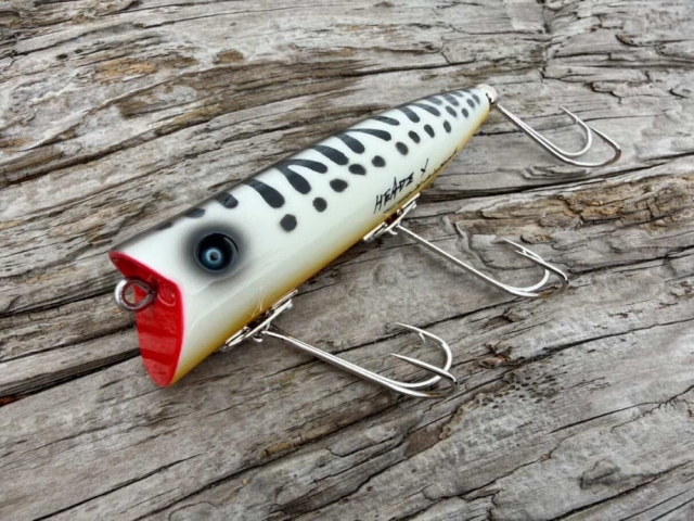 Quality Life『Fish Colca(フィッシュ コルカ)』