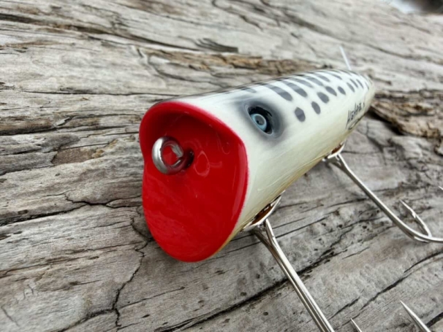 クオリティライフ　Fish Colca/フィッシュ コルカ　シープフィッシュ Quality Life『Fish Colca(フィッシュ コルカ)』