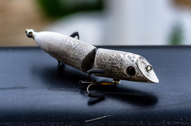 からんば　ジクジク　宇宙虫♂ からんば『ジクジク』